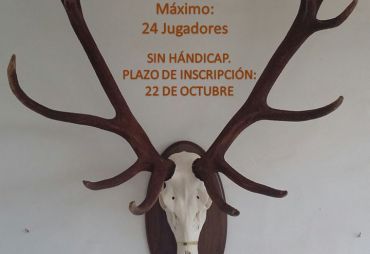 3rd GC Venado de Oro Trophy (Costa Ballena, Cádiz, 2016)